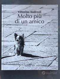 Vittorino Andreoli  molto più di un amico