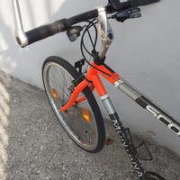 bici montain bike Scott