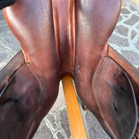 Sella equitazione da salto