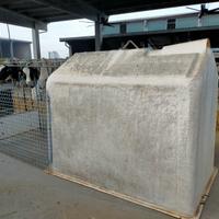 Box, recinto per vitello singolo