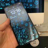 Iphone Xs Max-uno dei più longevi