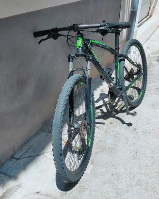 MTB 29 