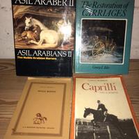 Libri cavalli