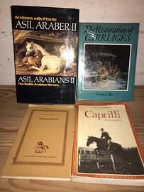 Libri cavalli