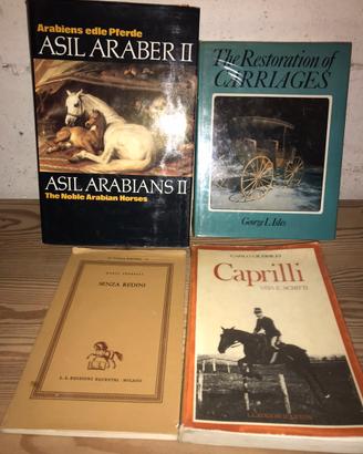 Libri cavalli