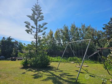 Low cost ideale per gruppi di amici o famiglie num