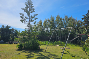 Low cost ideale per gruppi di amici o famiglie num