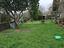 Immagine 14