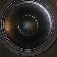 woofer da 10 pollici (coppia)