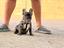 Immagine 1