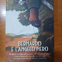 bernardo e l'angelo nero - fabrizio silei