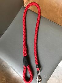 Guinzaglio per Cane