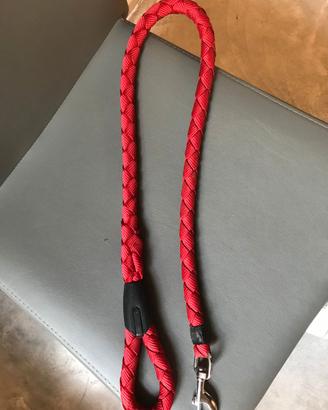Guinzaglio per Cane