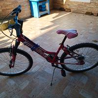 bicicletta ragazza 