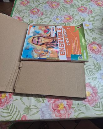 libro francese