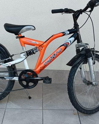 Bici bambino raggio 20