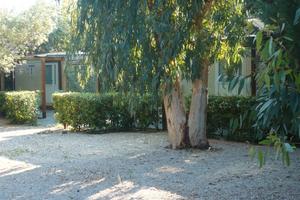 Soluzione a Punta Prosciutto 200 mt spiaggia