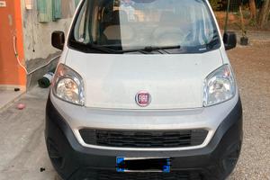 Fiorino