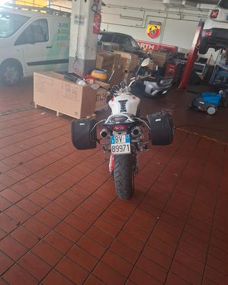 HONDA HORNET 900