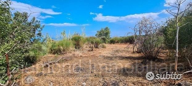 Terreno agricolo 3.800 mq panoramico a san gerardo - Vista 3