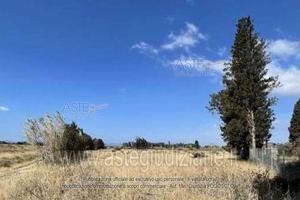 Terreno Agricolo San Sperate [A4331375]