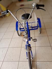 Bicicletta con bagagliaio