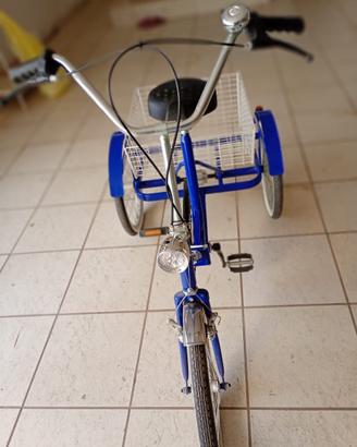 Bicicletta con bagagliaio