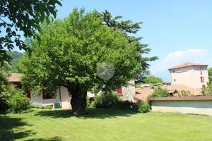 3 LOCALI A CORTE FRANCA