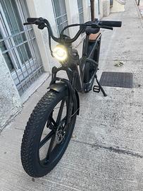 Fiido Titan Fat Tire Touring Ebike