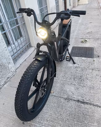 Fiido Titan Fat Tire Touring Ebike