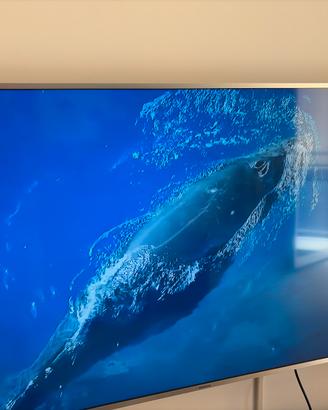 Tv Samsung 55 pollici mod 55mu6400uxzt