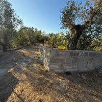 Terreno agricolo uliveto seminativo 5400mt