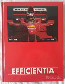 Rainer Martini - Efficientia. Ethica Humana Opus