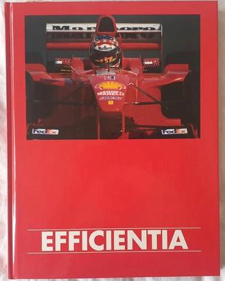 Rainer Martini - Efficientia. Ethica Humana Opus