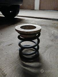 Molle assetto posteriori