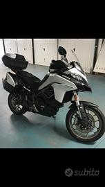 Multistrada 950