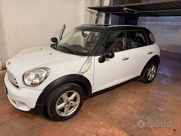 Mini Countryman D