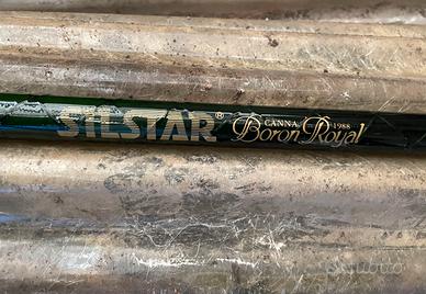 Canna da pesca serie lim.