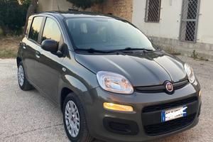 Fiat Panda 2021