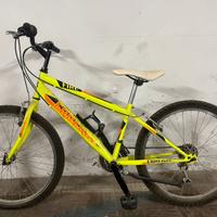 Bicicletta