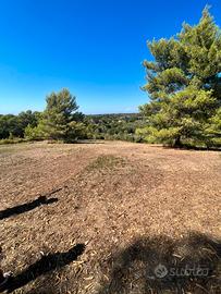 Terreno panoramico