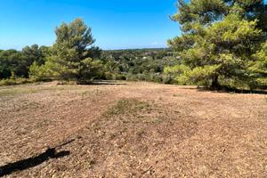 Terreno panoramico
