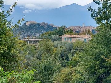 Arpino Villa Singola con ampio terreno