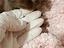 Immagine 3