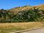 Immagine 26