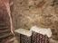 Immagine 15