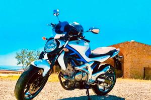 Suzuki Gladius SFV 650