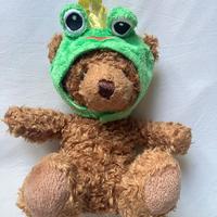 Peluche orsetto travestito