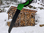 Immagine 6