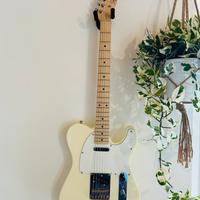 Chitarra Squier (Fender) mod. Telecaster Affinity